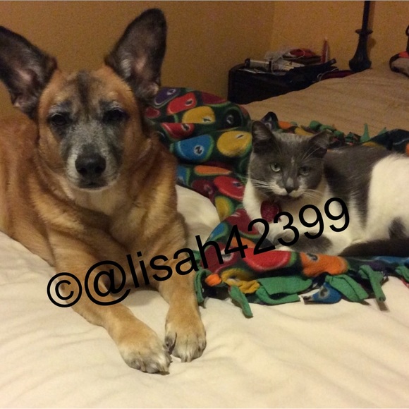 Meet your Posher, Lisa - Picture 11 of 11